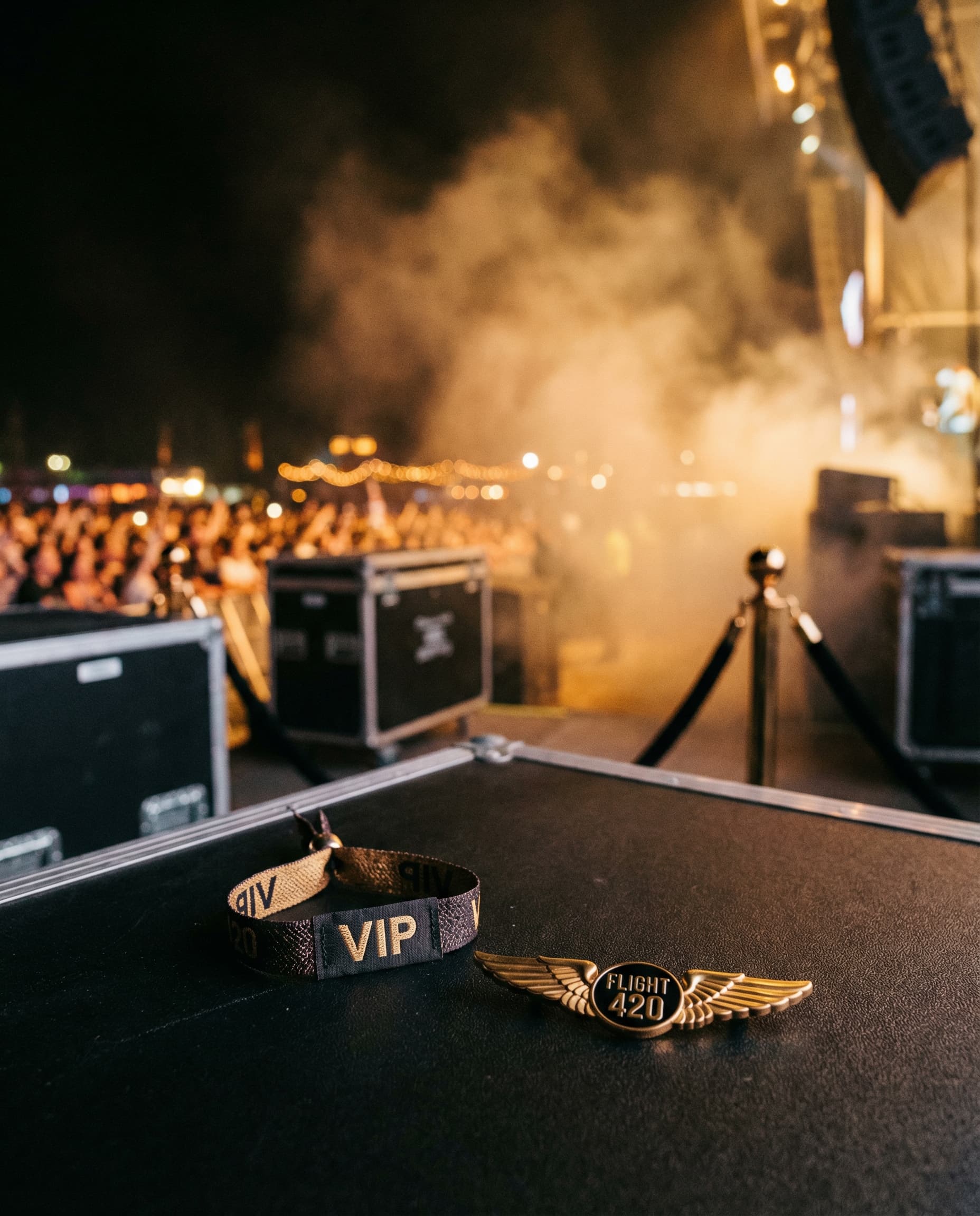 VIP Festival Access